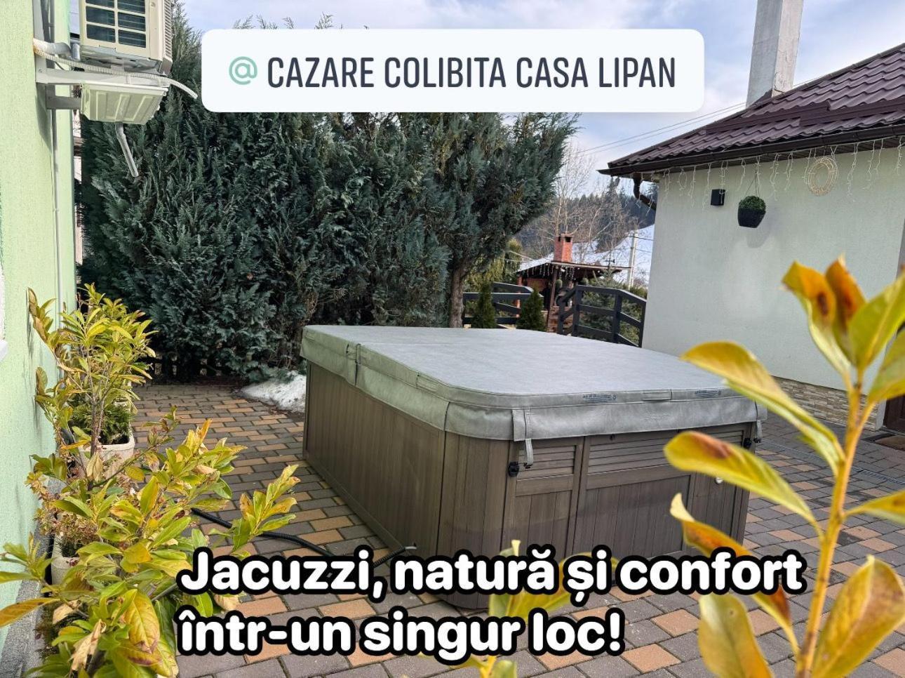 Cazare Colibita Casa Lipan Buitenkant foto